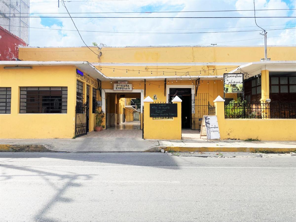 Oyo Posada Espinosa, Merida, Parque De Santa Ana Exterior photo